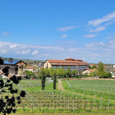 Ihr Bett Mit Blick Auf Die Weinberge Bad Dürkheim Eksteriør bilde