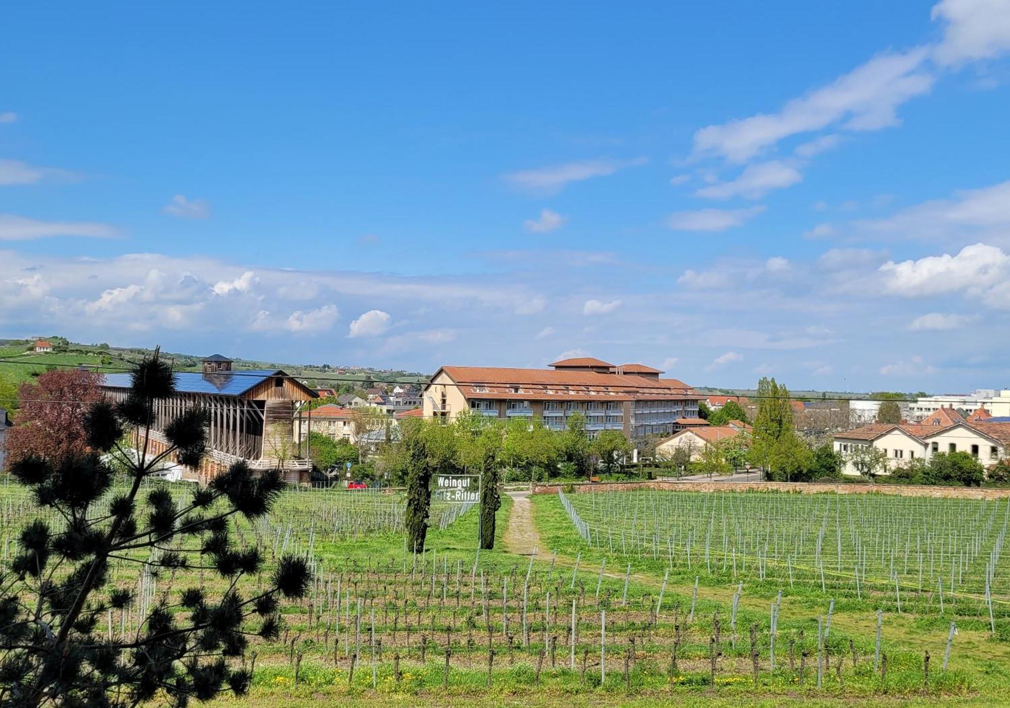 Ihr Bett Mit Blick Auf Die Weinberge Bad Dürkheim Eksteriør bilde